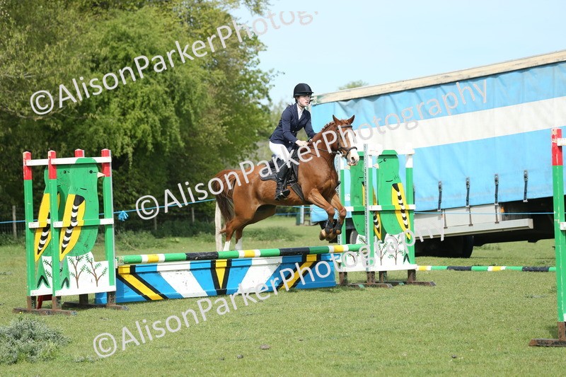 20260426-1498 - Class 14 - Novice 60cm