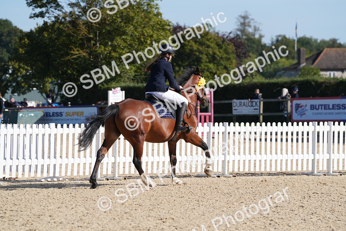 SBM_36263 - J 20 - Junior Horse 50cm Championship