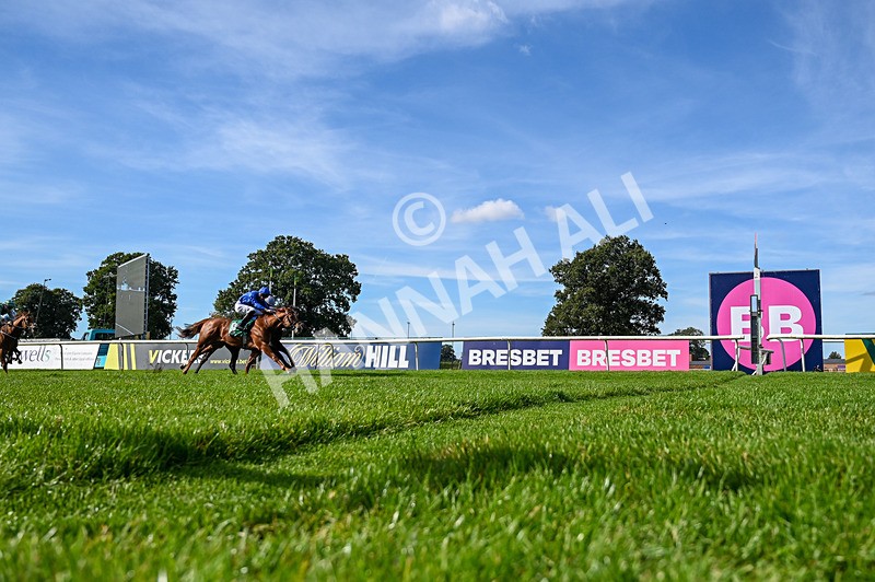 160924-Race 4-Watching Stars-5150 - Race 4