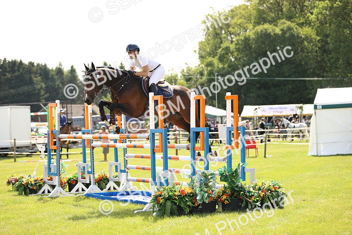 SBM_03030 - Class 201 - British Horse Feedds Speedi Beet HOYS Grade C