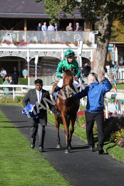 yr08102022r2-42 - Race 2 2.05pm The Coral Rockingham Stakes