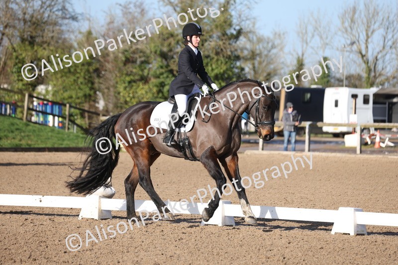 20260128-0241 - Class 3 - Novice 4