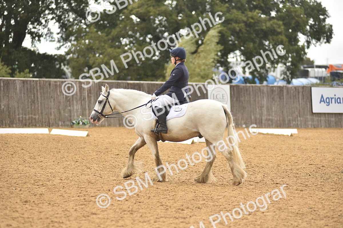 SBM_42425 - D22 - Junior Championship Intro 3