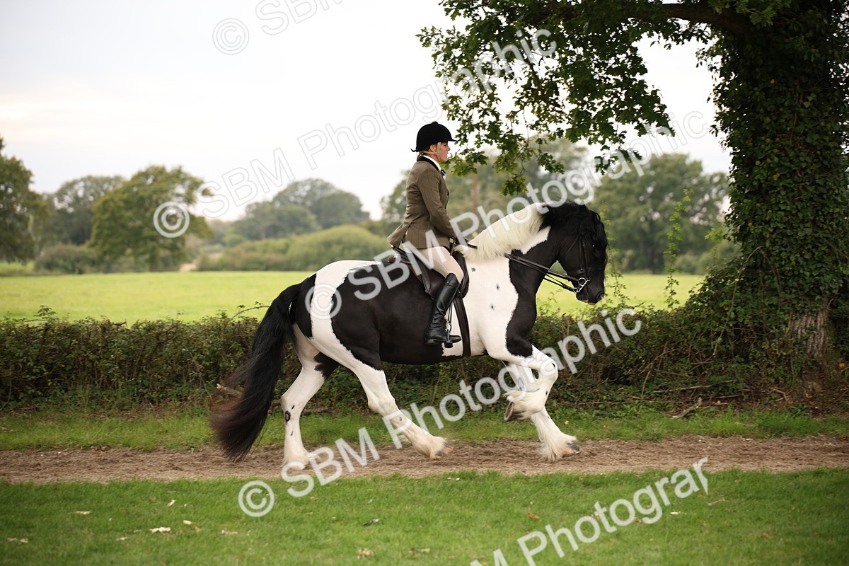 SBM_73447 - S68 - Traditional Cob Ridden