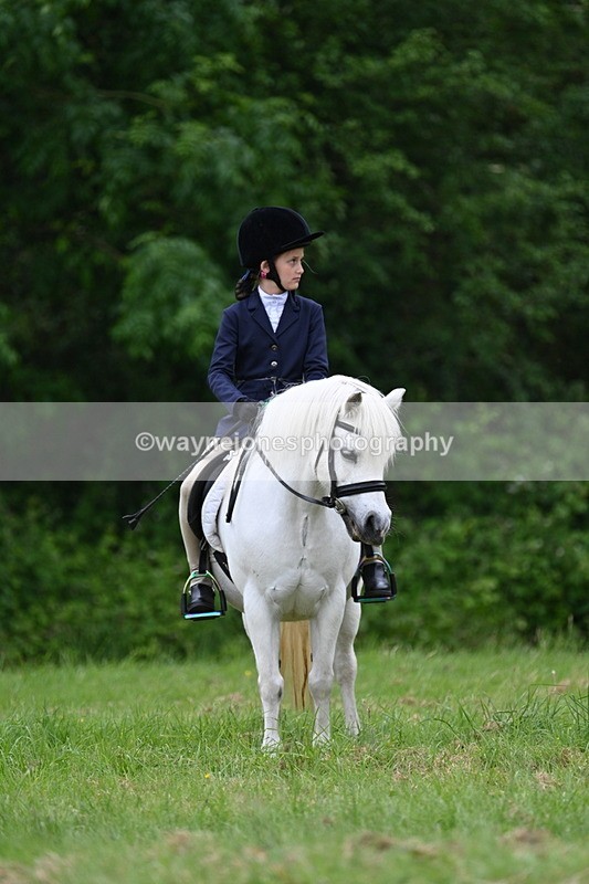 WJ7_4552 - Class 14B Prettiest Mare