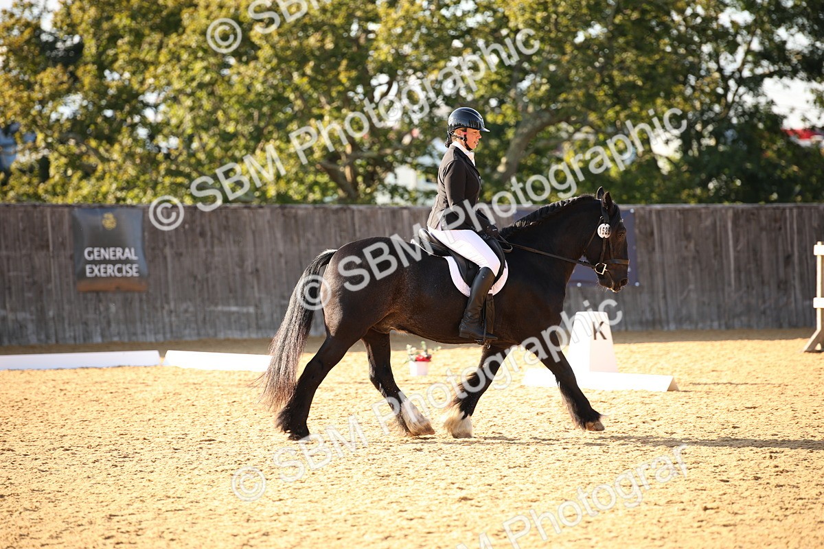 SBM_28359 - D11 - Small Tour Championship - Prelim 13