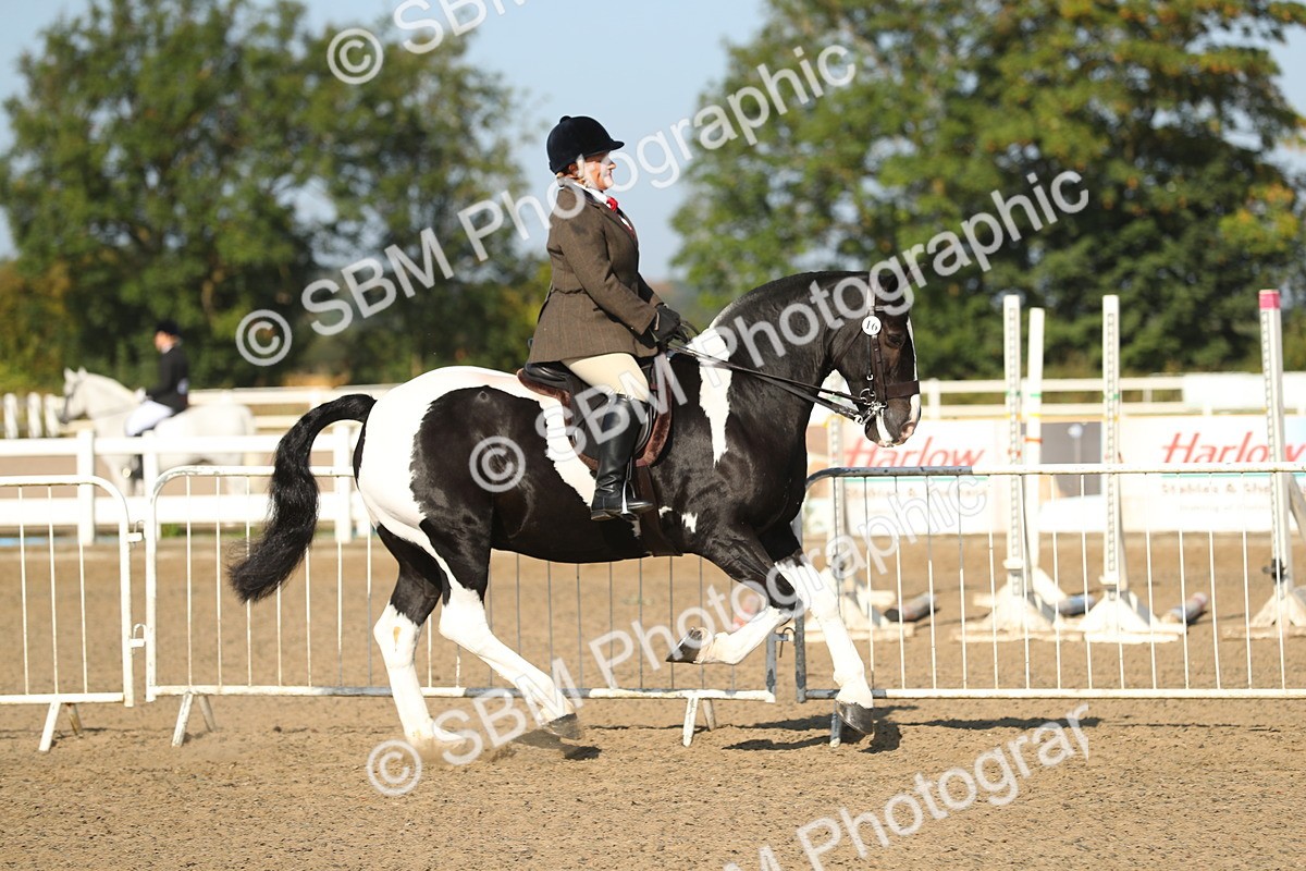SBM_01139 - Class 42 Ridden Veteran