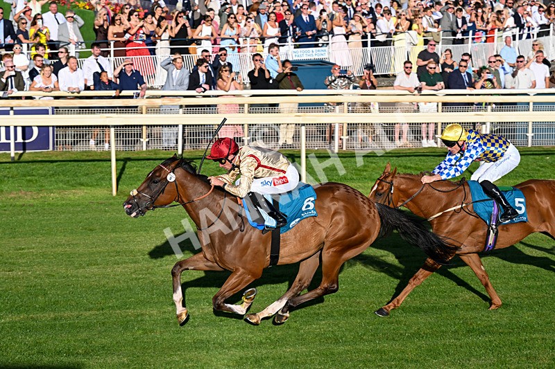 240726-Race 4-Rajaking-0440 - Race 4 19.15pm Tomahawk Handicap