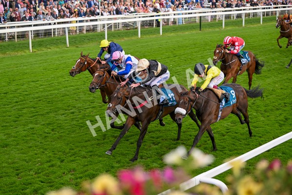 220824-Race 7-Alfa Kellenic-8090 - Race 7 5.20pm British EBF Fillies' Handicap