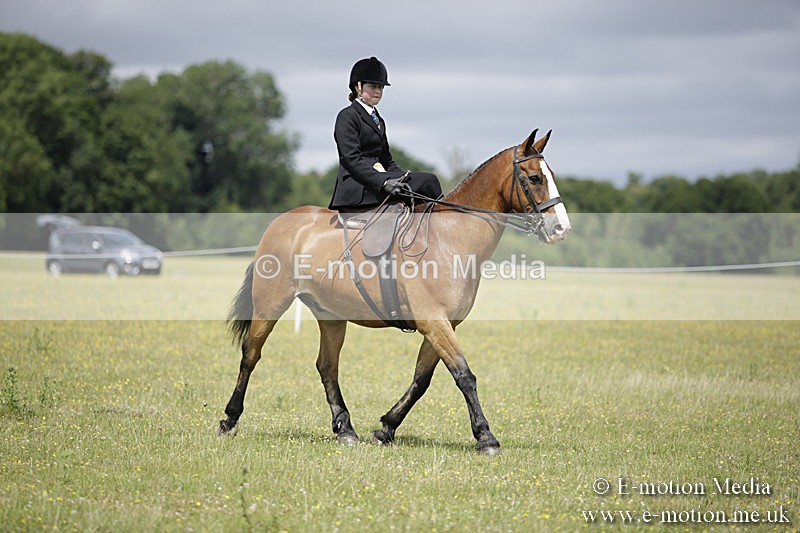 BVR160717-1995 - Side Saddle Classes 16/07/17
