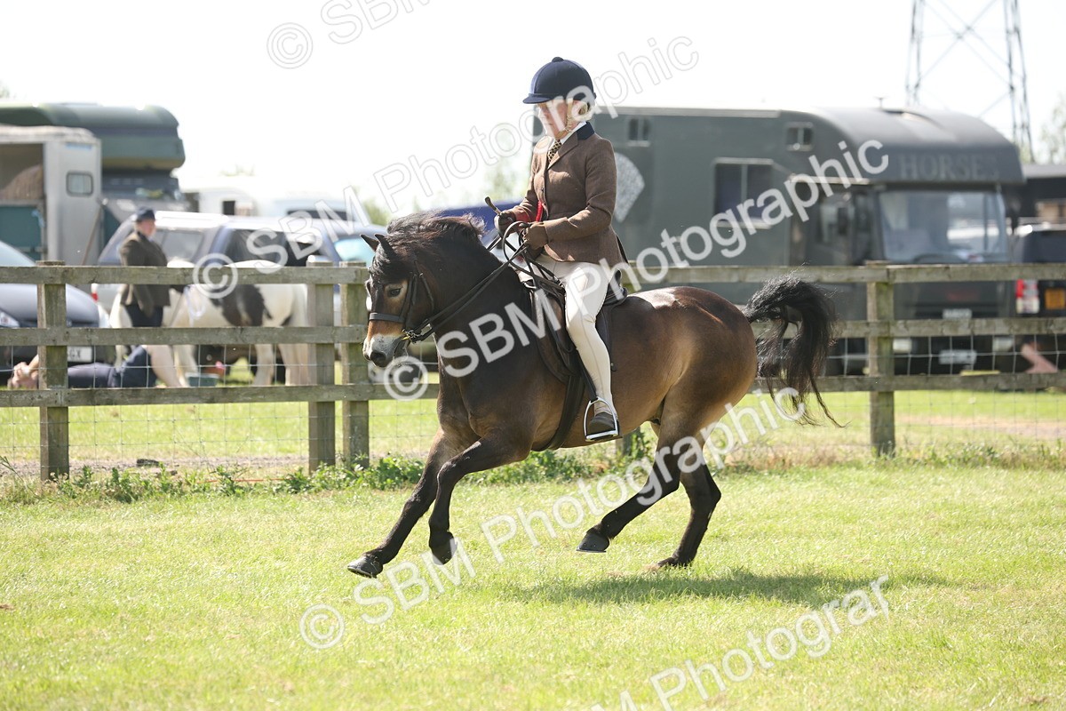SBM_07717 - Class 26-30 - Mountain and Moorland Ridden