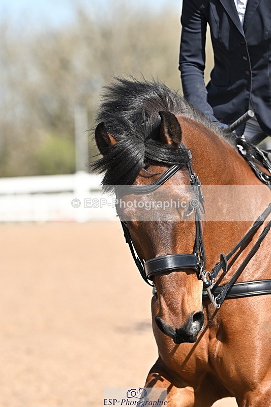 250409-111142-00319 - Snr Disc & 1.00m Open