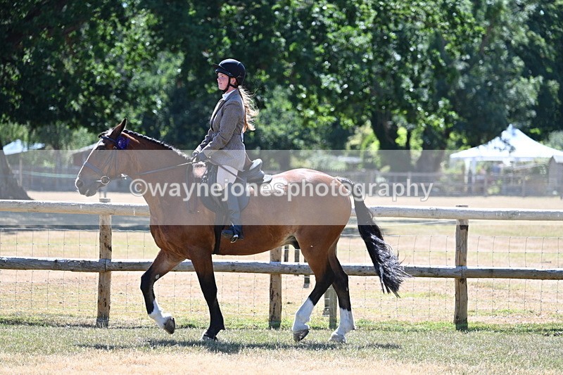 WJ7_3828 - Class 8 Ridden Veterans