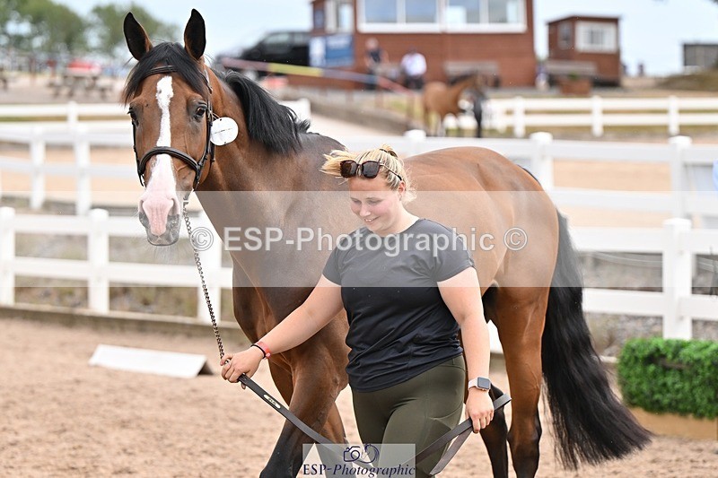 250716-151337-01797 - Trot Up 2.30 to 3.30