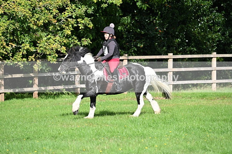 WJ7_3745 - 40cm Time 10:26 to 10:42