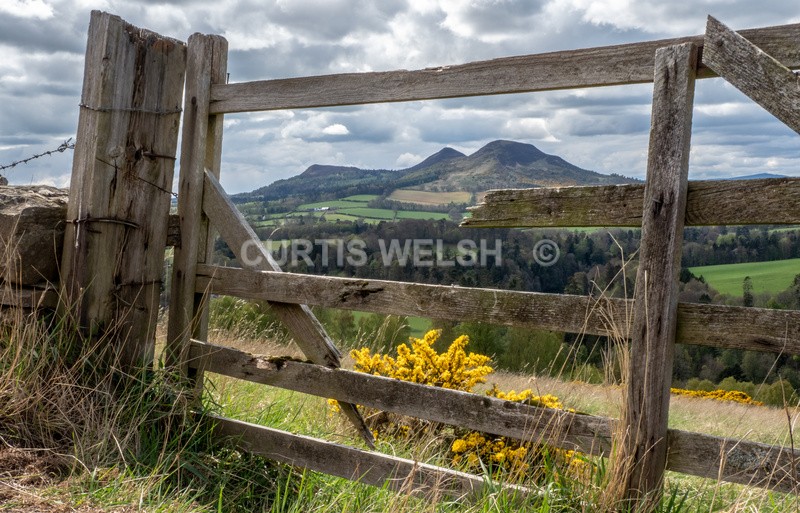  - SCOTTISH BORDERS