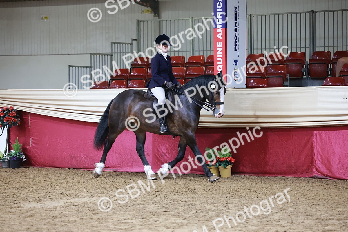 SBM_18536 - Class 952 - M&M Ridden Supreme Final