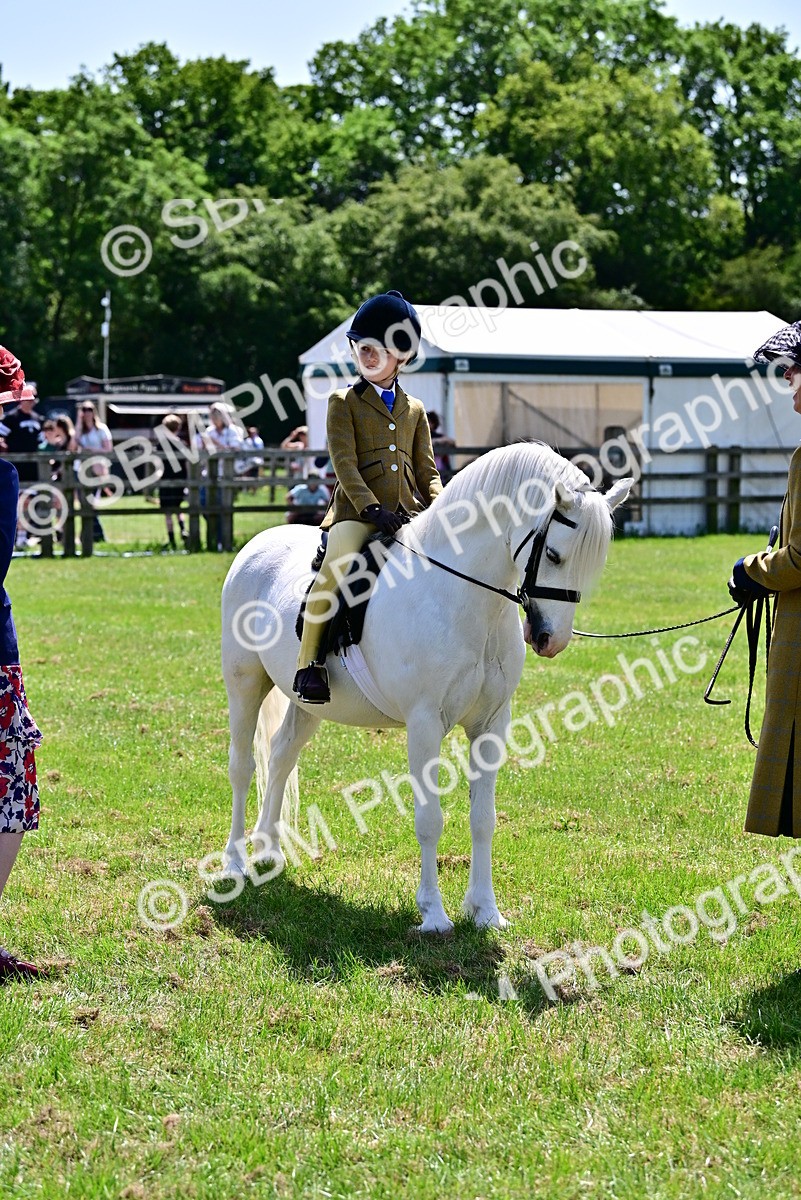 SBM_05909 - Class 59-60 - TSR M&M  Lear Rein and First Ridden Amateur of the year