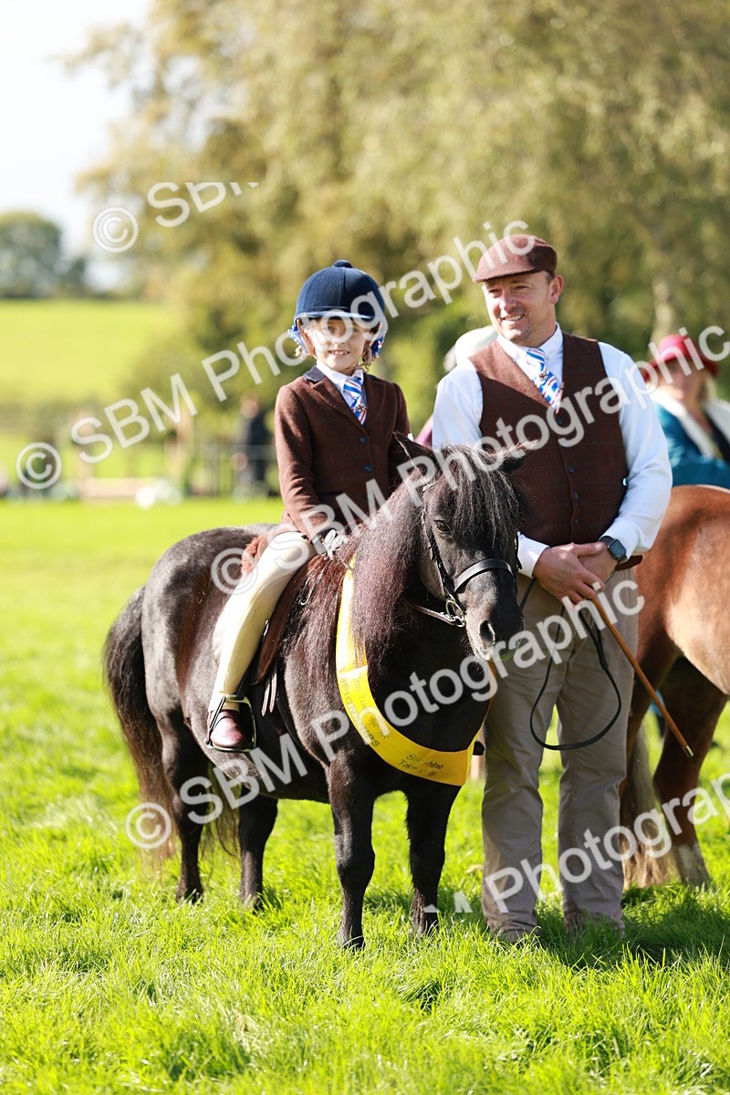 SBM_42159 - S32 - Mountain & Moorland Working Hunter Pony