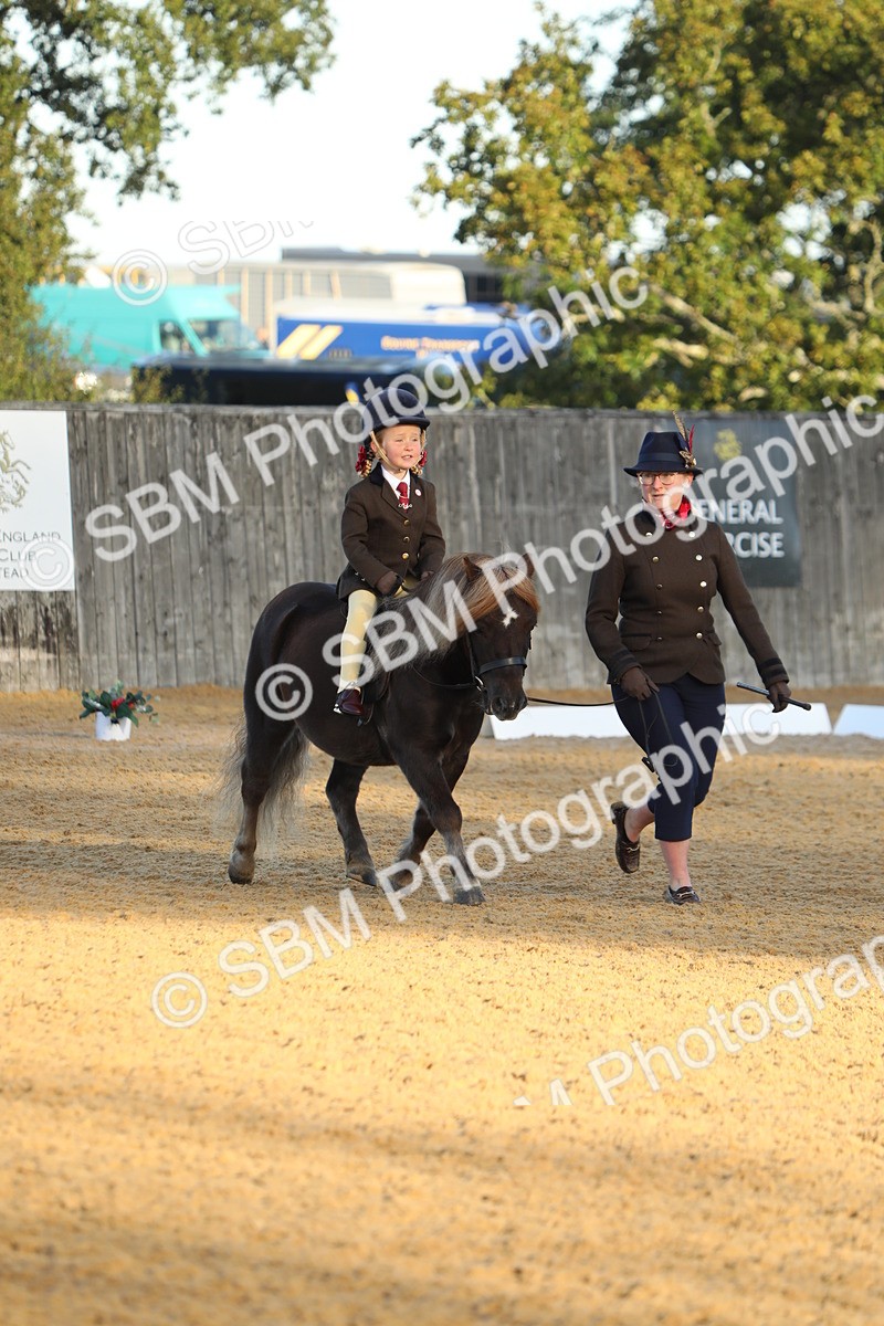 SBM_33544 - D26 - Starers - Lead Rein