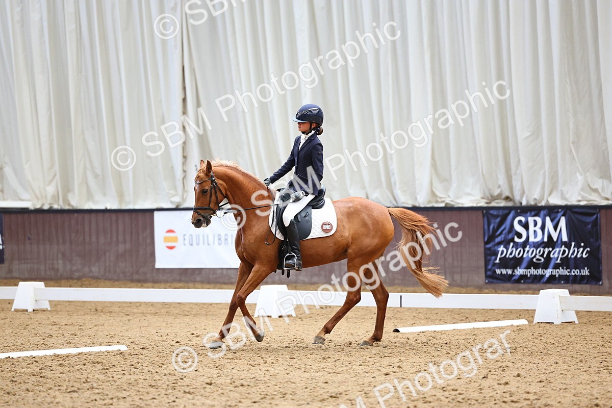 SBM_003993 - Novice 2