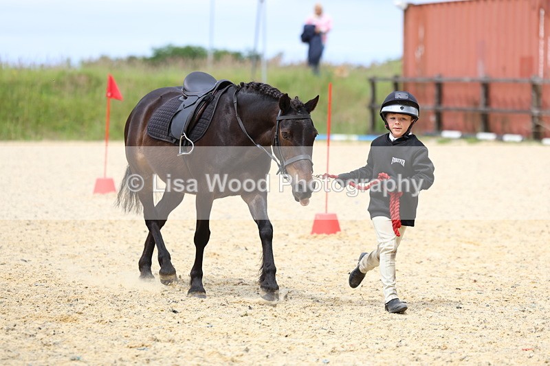 3E7A9381 - Walk trot run