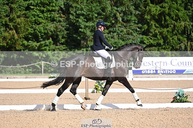 240809-162515-02368 - Preliminary Gold