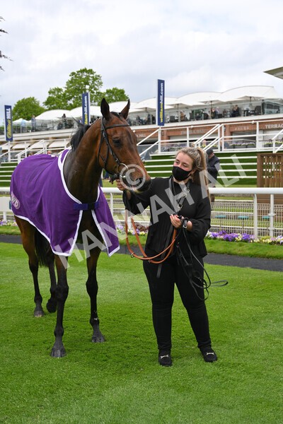 yr22052021r1-39 - Race 1 2.05pm William Hill Pick Your Places Stakes