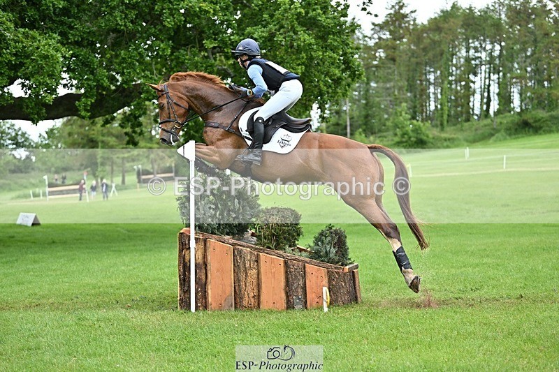 240525-162151-17582 - 233-SILVESTERS_FINESSE-Rosalind_Canter