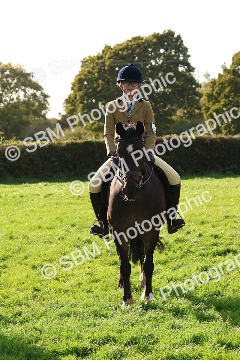 SBM_52632 - S13 - Pony Club Pony