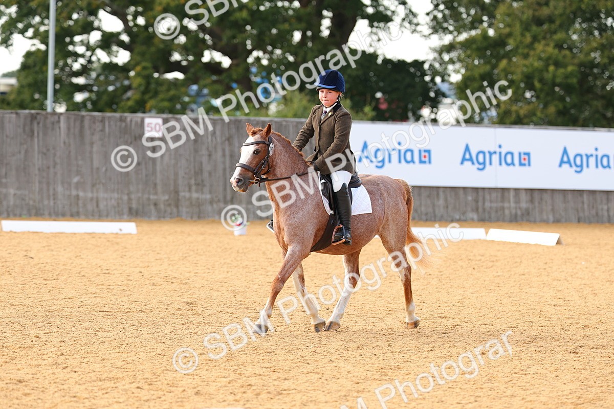 SBM_49734 - D24 - Junior Championship - Prelim 1