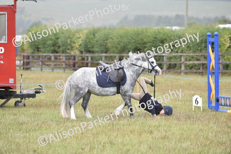 20250831-1847 - Class 9 - Absolute Novice 45cm