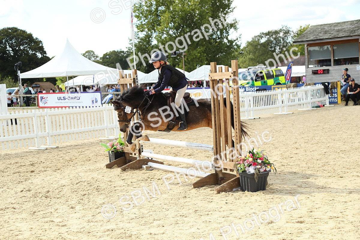 SBM_39493 - J6 - Junior Pony 55cm Championships