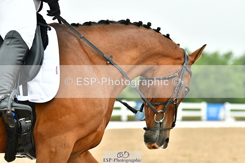 230708A-142410-03442 - Prelim 14