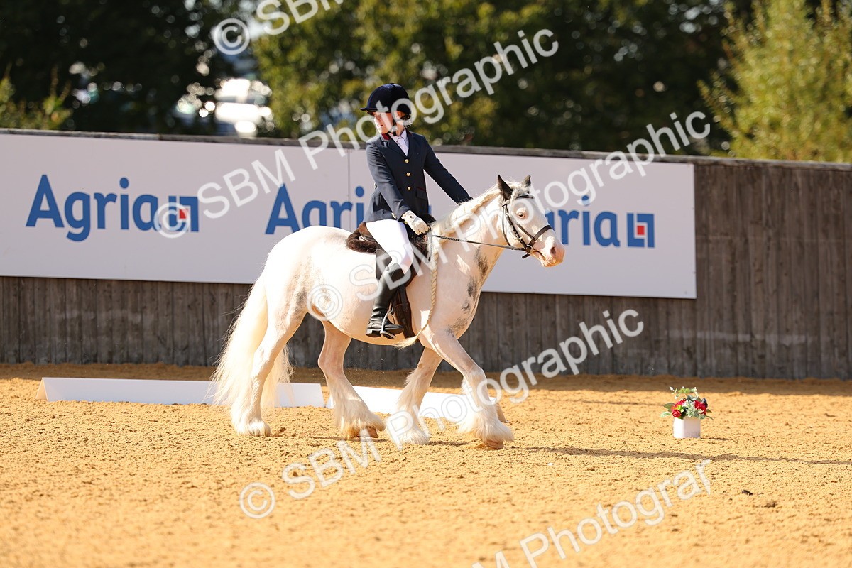 SBM_49658 - D22 - Junior Championship - Intro B