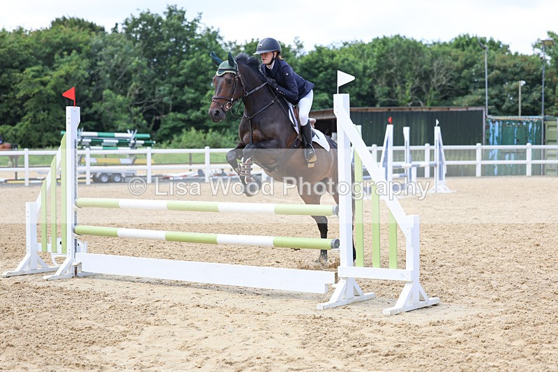 3E7A3100 - Class 4: Senior British Novice/90cm open