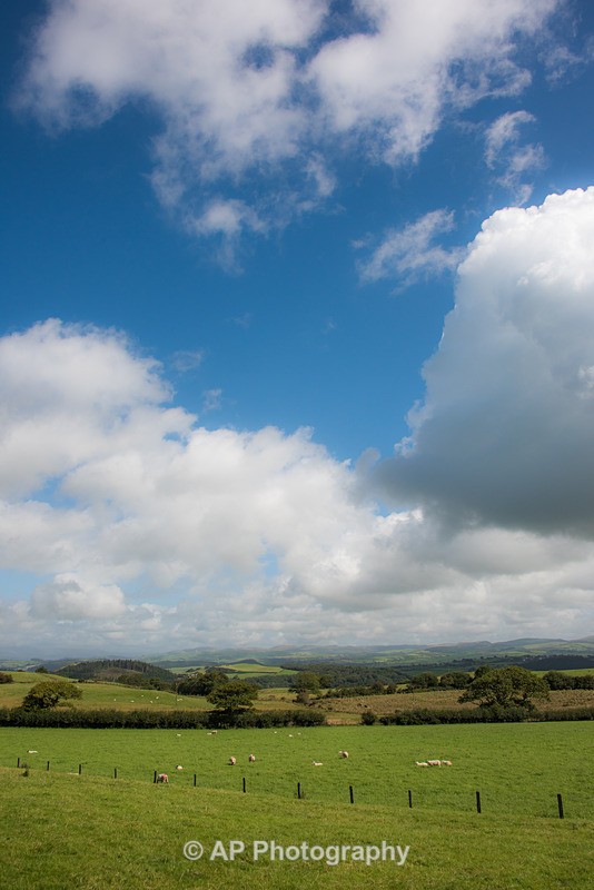 ACP_2448-2 - Rural Views