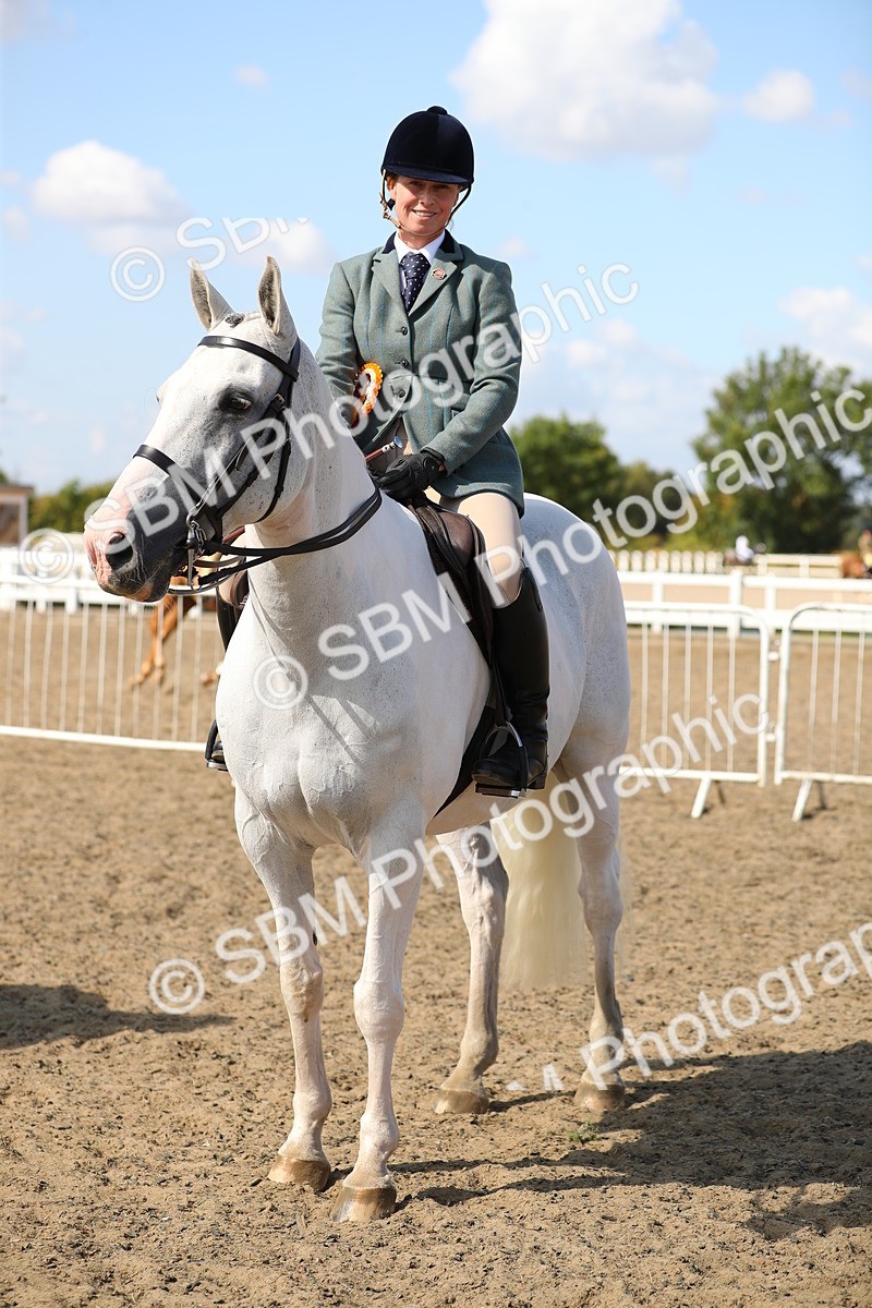 SBM_03277 - Class 44 Riding Club Horse/ Pony