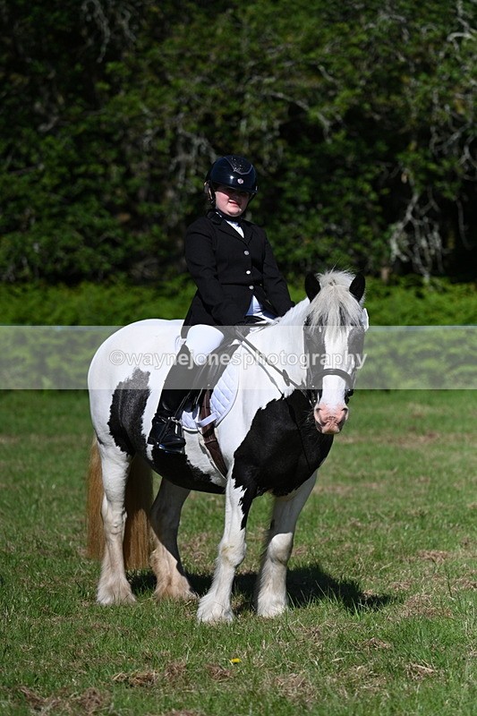 WJ7_0388 - Class 8 First Rally Pony