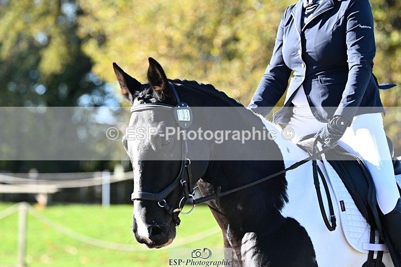 231110-104415-00178 - Cls 2 Prelim 17(a)Q