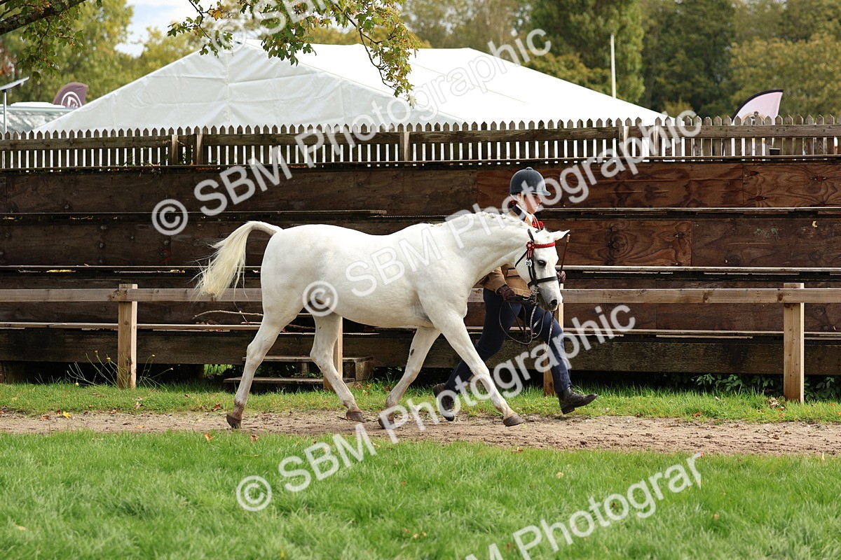 SBM_40744 - S25 -  Veteran In Hand