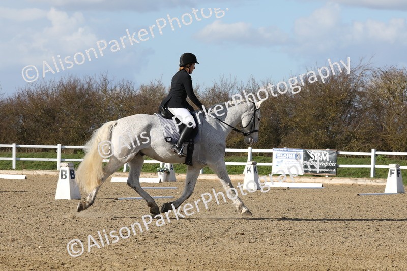 20260314-5109 - CT6 - Elementary 1