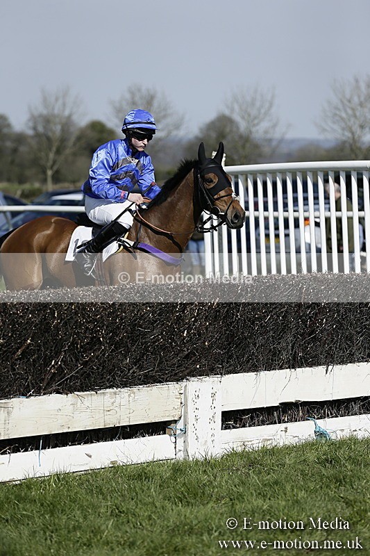 PtP 260317 156 - Mendip Farmers Point-to-Point Ston Easton 26/03/17