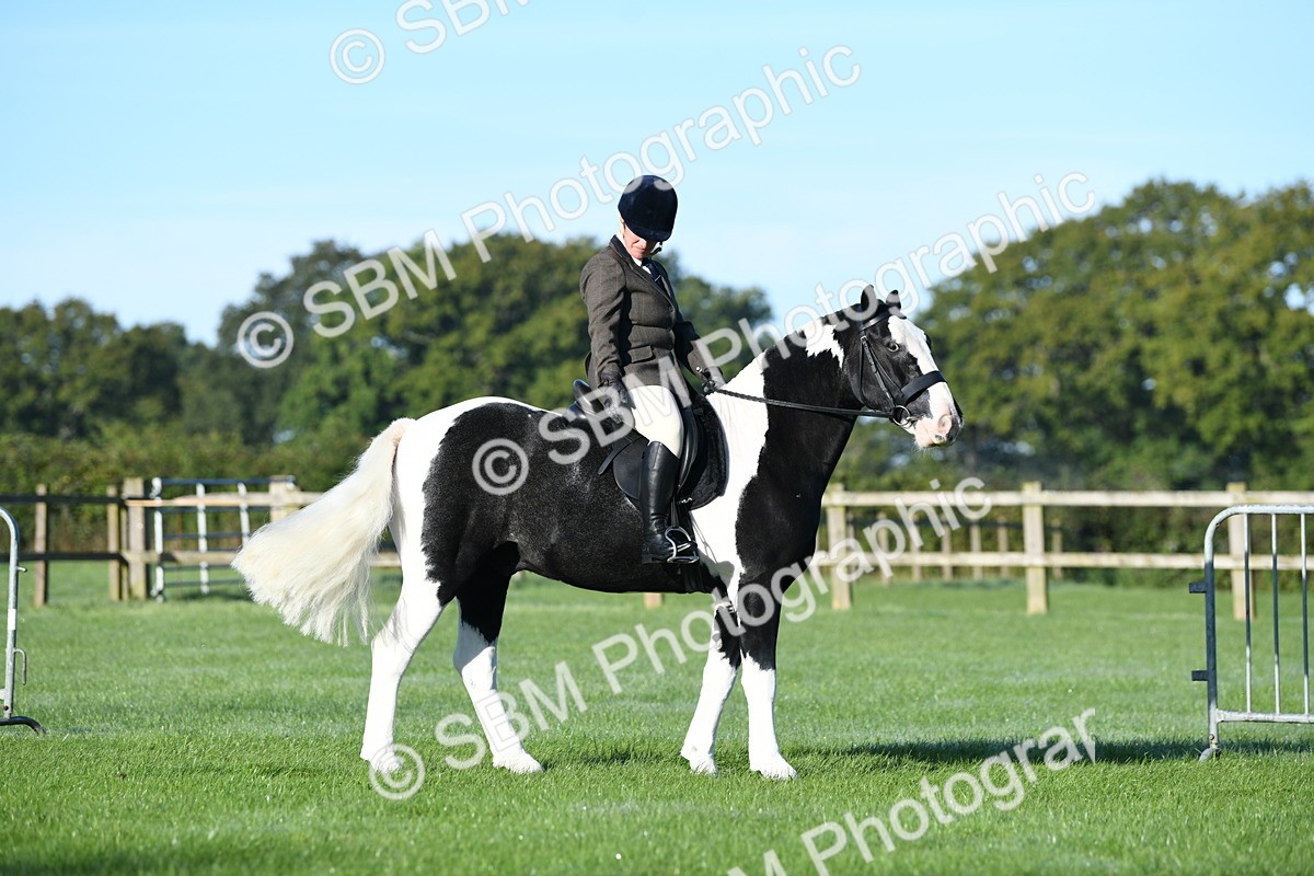 SBM_33972 - S16 - Condition & Turnout - Ridden