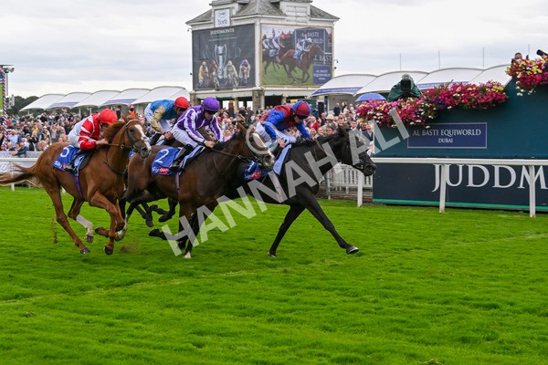 210824-Race 3-Los Angeles-4897 - Race 3 3.00pm Sky Bet Great Voltigeur Stakes