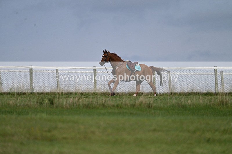 WJ7_7518 - Time 13:21 to 13:29