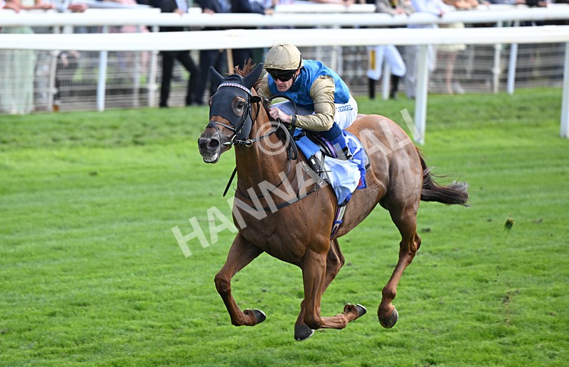 220826-008 Archivist - Race 1 13.50pm Sky Bet Strensall Stakes