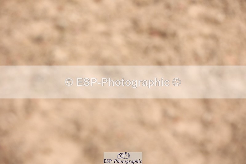 240714A-135326-02287 - Cls 11 & 12 Children on Horses