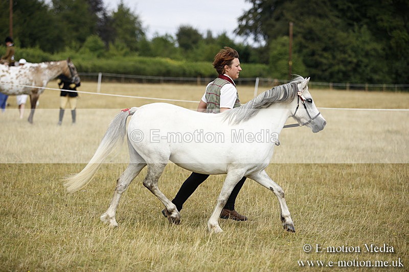 _C7A9560 - BVRC Sow 2018 Ring 2