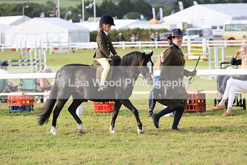 JPP_0187 - Class 14: Cornish Combination Leading Rein